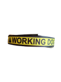 Working Dog Nylon Dog Collar