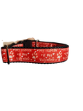 My Human Is My Valentine Nylon Dog Collar