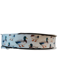 Ducks on White Nylon Dog Collar
