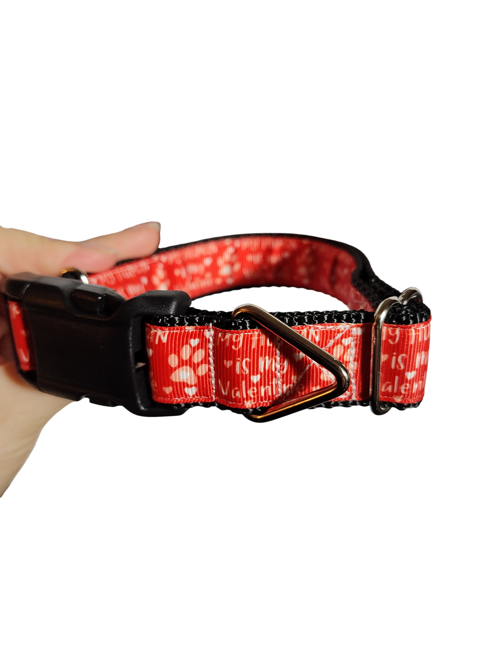 My Human Is My Valentine Nylon Dog Collar