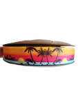 Neon Sunsets Nylon Dog Collar