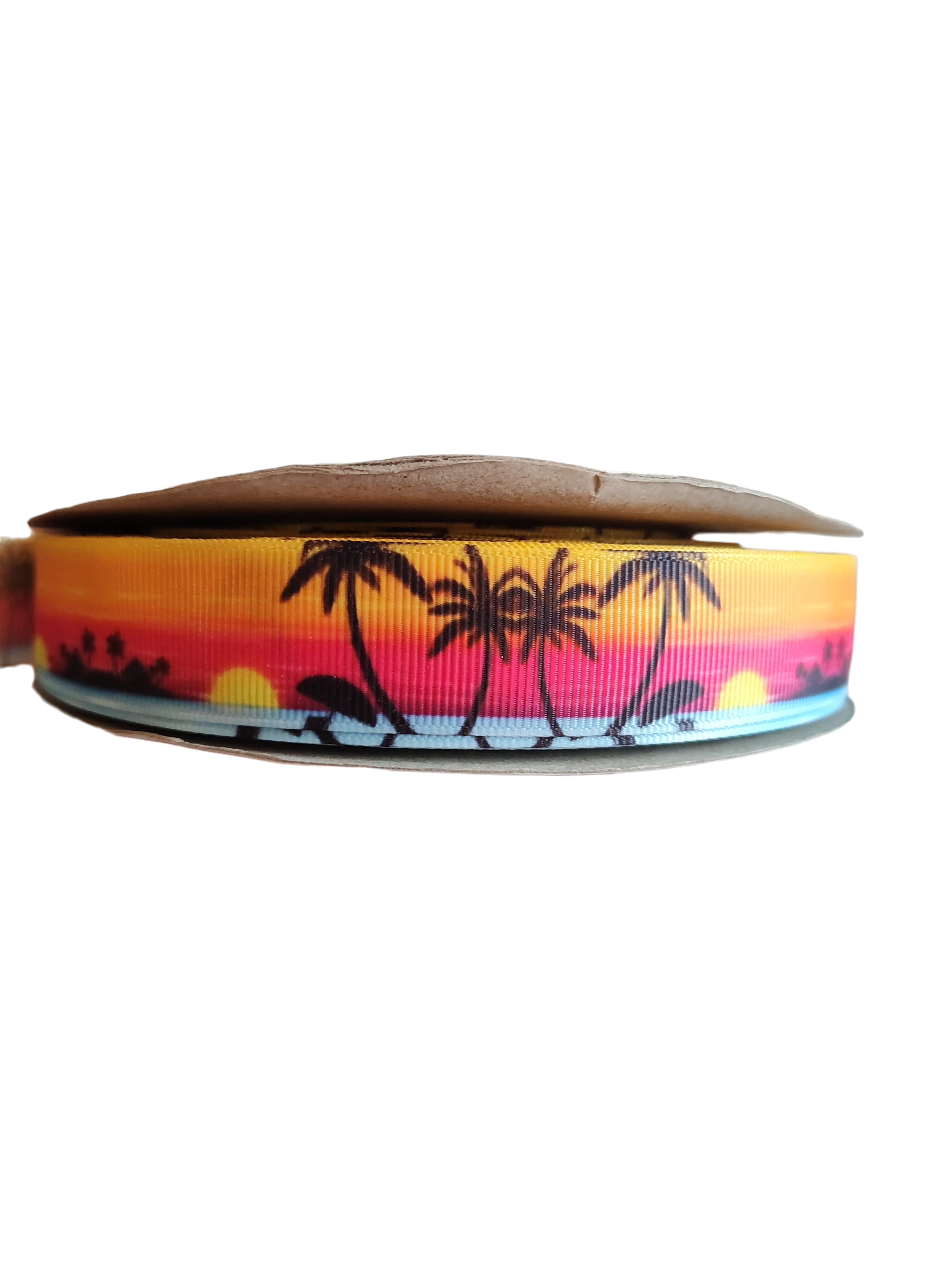 Neon Sunsets Nylon Dog Collar
