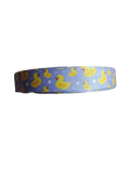 Bathtub Duckie (Purple) Nylon Dog Collar