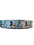 Watercolor Mallard Duck Nylon Dog Collar