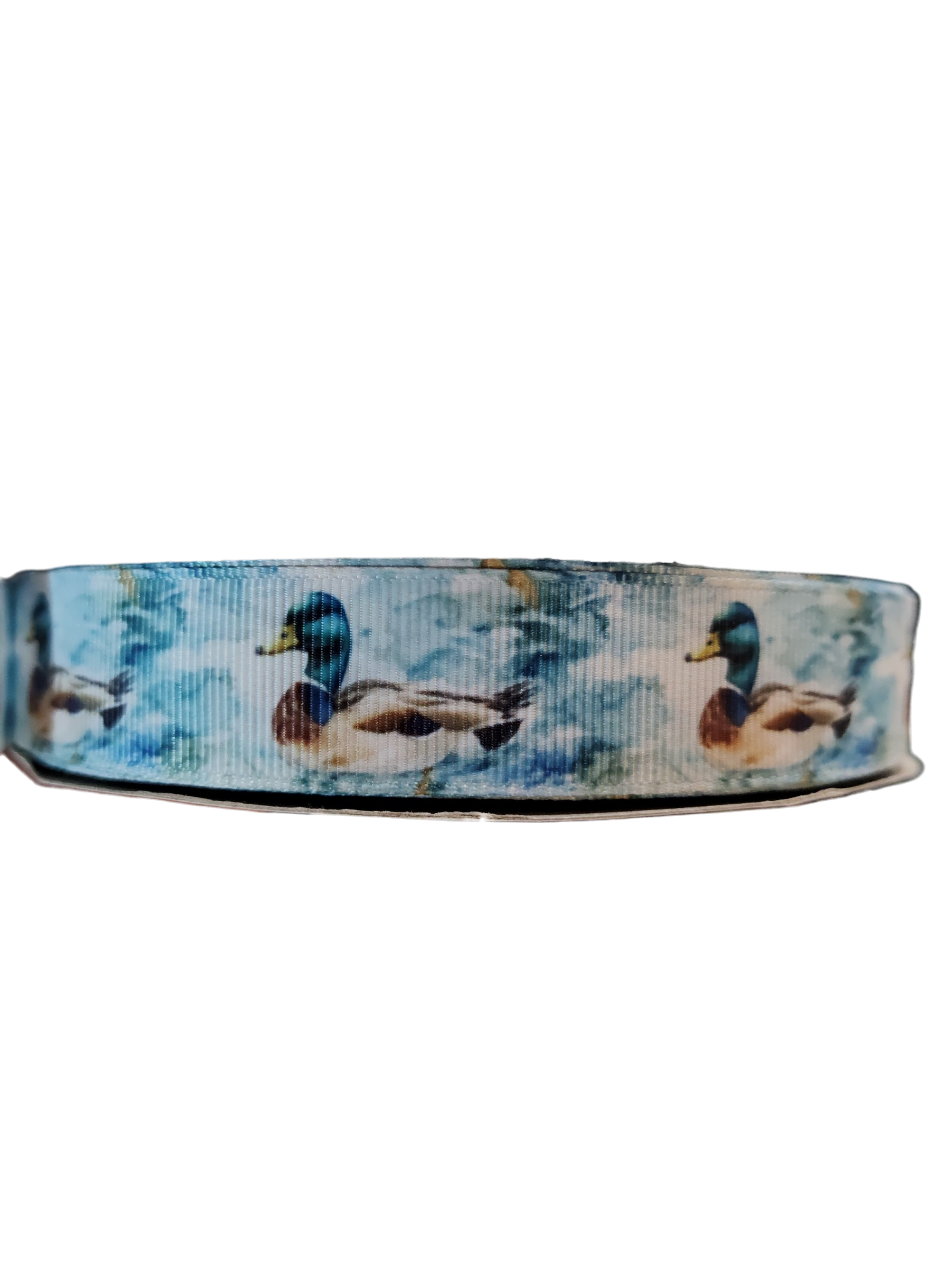 Watercolor Mallard Duck Nylon Dog Collar