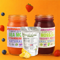 Sea Moss Bundle - Gummies + 2 Gels Variety Pack