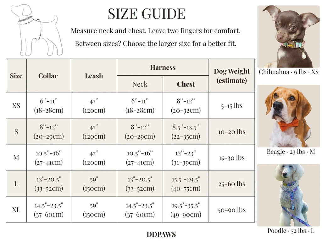 Forest Green Velvet Set