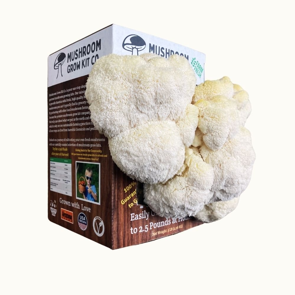 Lion's Mane Mushroom Growing Kit - 5 LBS Spray and Grow