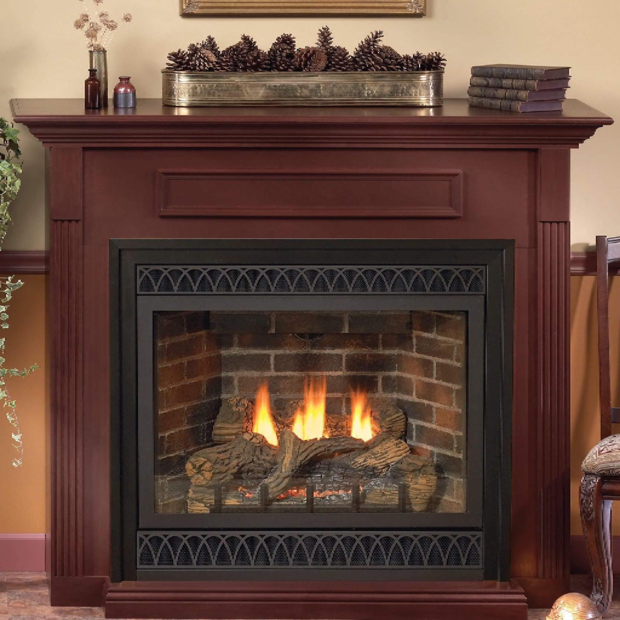 White Mountain Hearth (Empire) Tahoe 48-Inch Intermittent Pilot Propane Gas Direct Vent Deluxe Fireplace W/ On/Off Switch [DVD48FP70P] (SAK40376)
