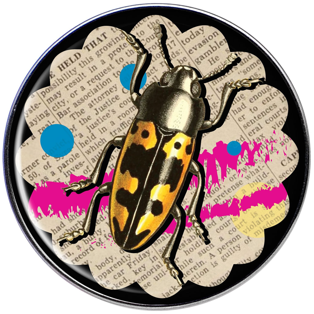 Newsprint Beetle Bug Tragus Cartilage Earring